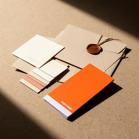 Branding & Creative